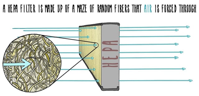 Cabin Air Filter Facts Most Drivers Don't Know