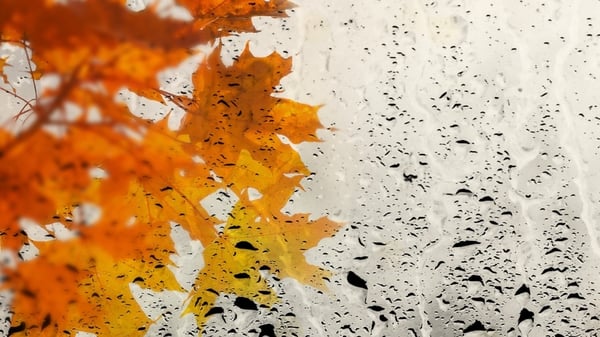 driving in rain