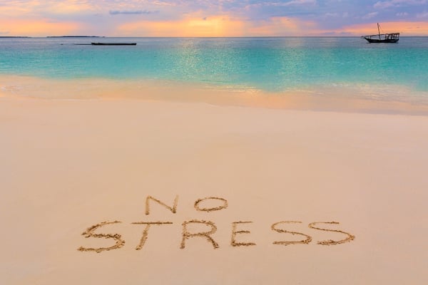 take the stress out of commercial vehicle leasing