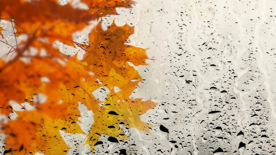 Fleet Safety Tips for Driving in Heavy Autumn Rains